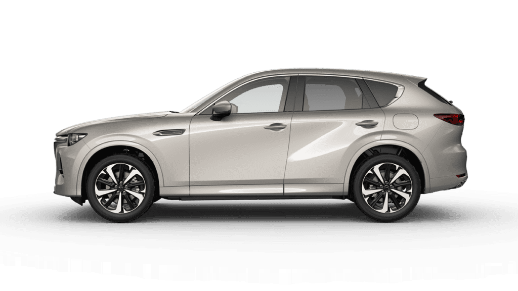 Cx 60 platinumquartz